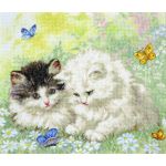 LETI 954 Літній час ігор Letistitch, Luca-S
