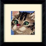 DIMENSIONS_07206Косоглазый котенок