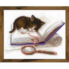 Котенок на книжке арт: 1726