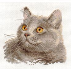 Британский кот