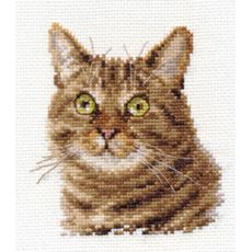 Европейский кот