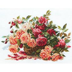 Розы