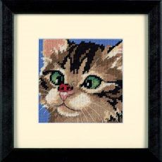 DIMENSIONS_07206Косоглазый котенок