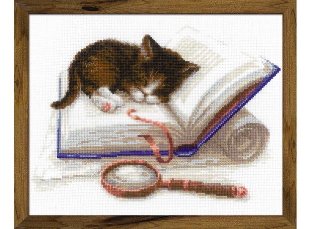 Котенок на книжке арт: 1726