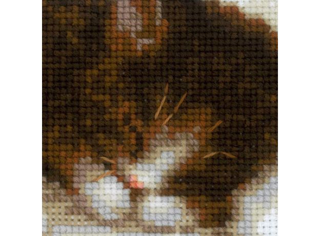 Котенок на книжке1725