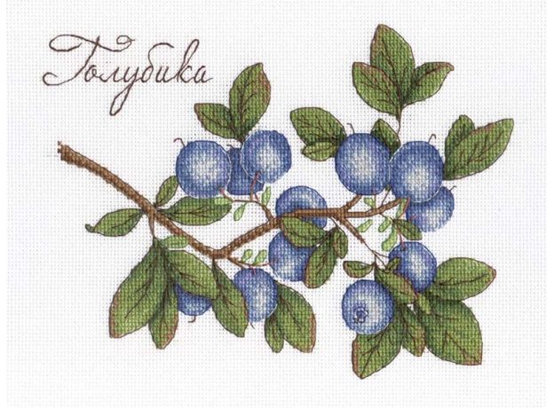 нв-617 ✓ Дары природы. Голубика  "М.П.Студия"