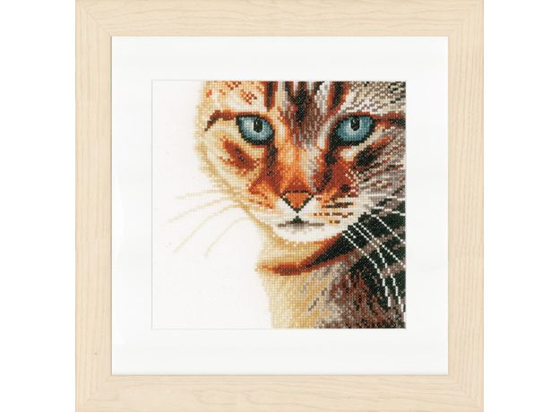 Набор для вышивки крестом LanArte Cat close-up Кот вблизи