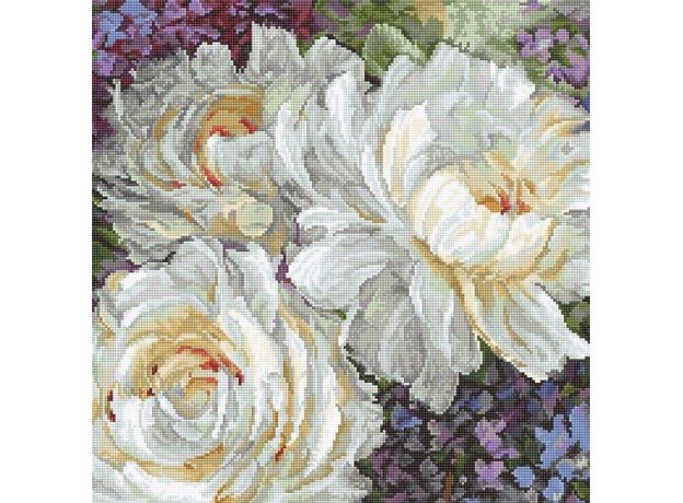 LETI 930 Білі троянди Letistitch, Luca-S