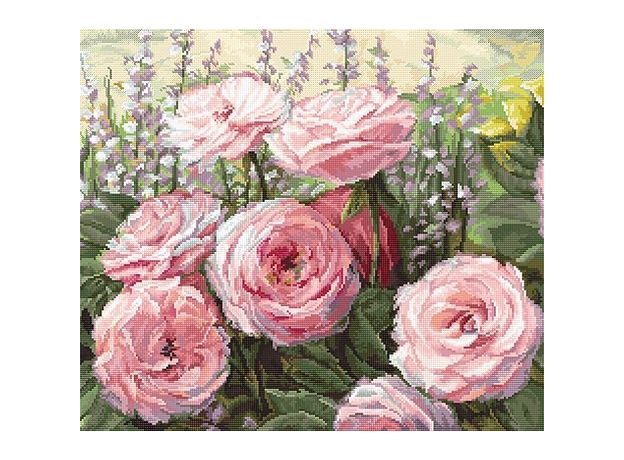 LETI 952 Літнє цвітіння Letistitch, Luca-S