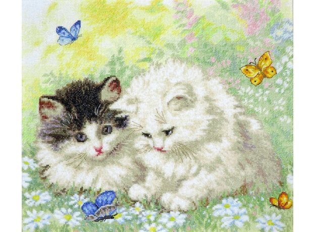 LETI 954 Літній час ігор Letistitch, Luca-S