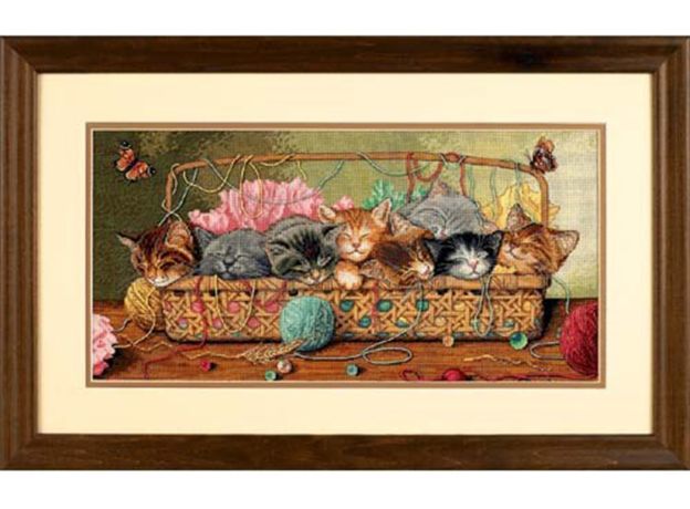 DIMENSIONS_35184Маленькие котята