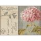 Набор для вышивки крестом LanArte Hydrangea Гортензия