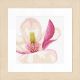 Набор для вышивки крестом LanArte Magnolia flower Магнолия