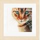 Набор для вышивки крестом LanArte Cat close-up Кот вблизи