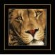 Набор для вышивания крестом LanArte King of animals Царь зверей