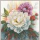 Набор для вышивки крестом LanArte White rose Белая роза