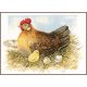 Набор для вышивки крестом LanArte Mother hen "Мама курица"