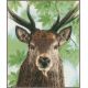 Набор для вышивки крестом LanArte PROUD RED DEER Олень