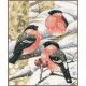 Набор для вышивки крестом LanArte Bullfinch Снегирь