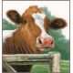 Набор для вышивки крестом LanArte Wondering Cow Интересная корова