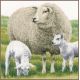 Набор для вышивки крестом LanArte  SHEEP  Овца