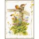 Набор для вышивки крестом Lanarte, 33х47, ткань 27, "Cozy garden corner"