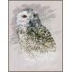Набор для вышивки крестом Lanarte, 29х38, "Snowy Owl" Полярная сова