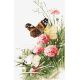 LETI 938 Метелики в полі Letistitch, Luca-S