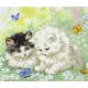 LETI 954 Літній час ігор Letistitch, Luca-S